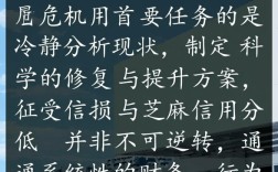 征信黑了还能用支付宝吗，芝麻信用590算什么水平