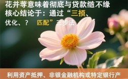 征信花贷款怎么贷，征信花了哪里还能借到钱？
