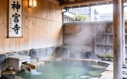 神宫寺奈绪-汤女美人