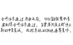 360借条综合评估未通过怎么办，综合评分不足怎么解决