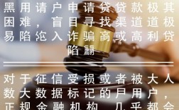 网黑哪里能借到钱，有哪些不看征信的口子能下款