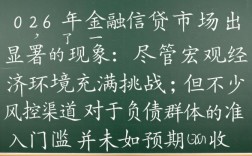 为何24年的风控口子能对负债者如此开放，2026下款口子怎么过？