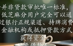 不需芝麻分贷款哪里有？芝麻分低怎么借钱？