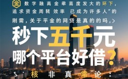 秒下五千元的网贷是真的吗，哪个平台好借？