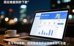 现在晚上能找到秒下款的贷款产品吗，晚上申请秒下款吗