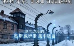 纳粹女魔头四部曲