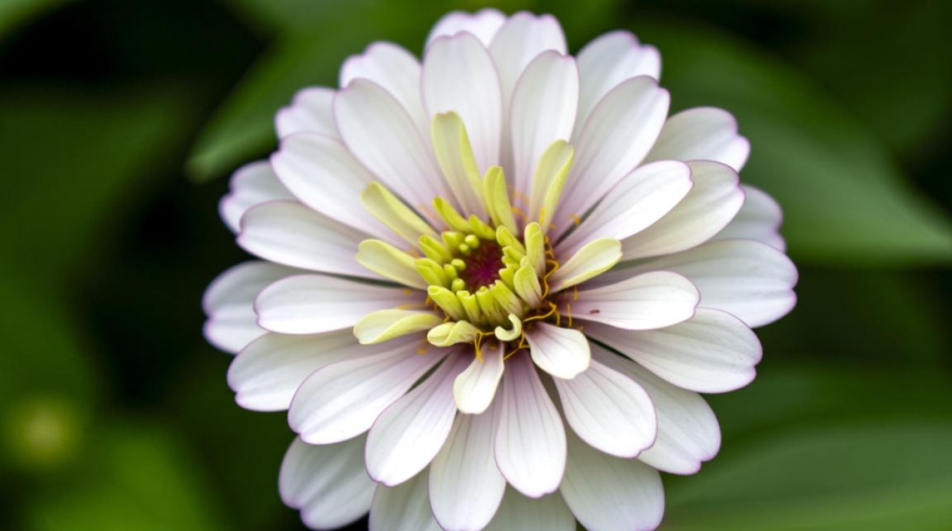 花呗能下的口子有哪些,花呗授权容易下款的平台 花呗授权容易下款的平台