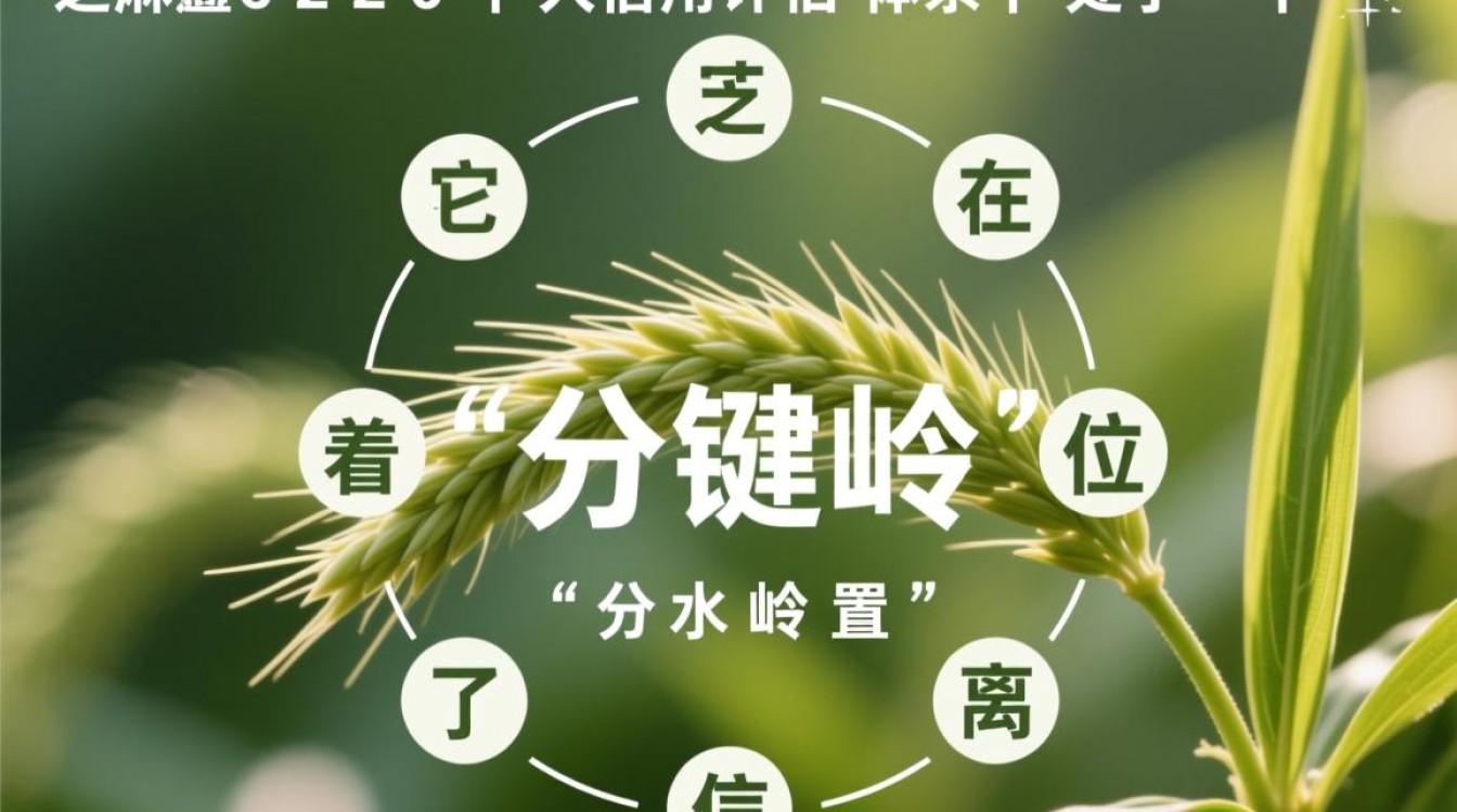 芝麻分620怎么快速提分