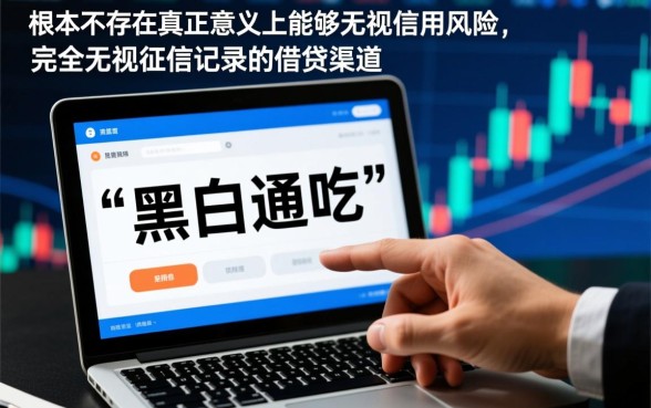 什么口子黑白通吃，2026无视征信黑户能下款的网贷口子有哪些