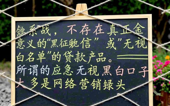 应急无视黑白口子哪里有？2026最新黑户必过口子