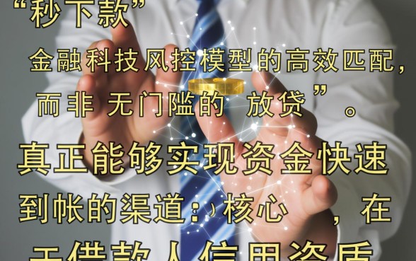 网贷口子秒下款有哪些，2026不用审核必下款是真的吗