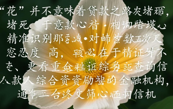 征信花能下的口子有哪些，征信花了怎么贷款必下款