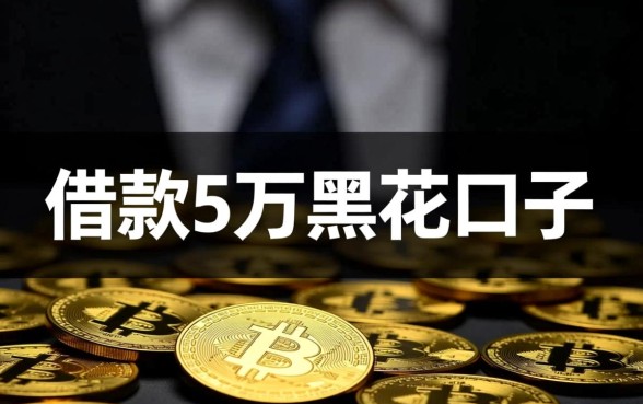 借款5万黑花口子哪里有？2026不用征信能下款吗？
