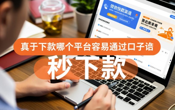 哪个平台容易通过秒下款