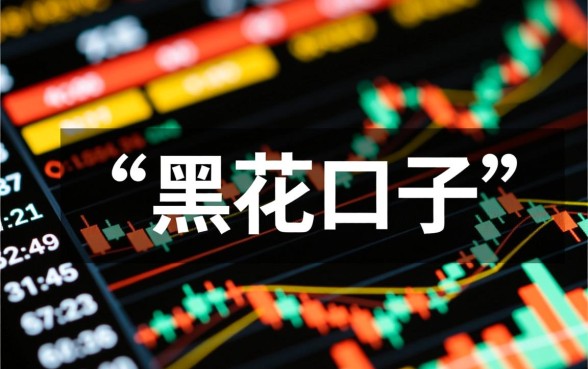 能借钱的黑花口子有哪些，2026最新不用审核的口子在哪里找？