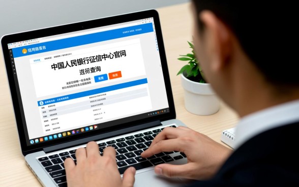 如何网查个人征信，个人征信网上免费查询详细步骤是什么