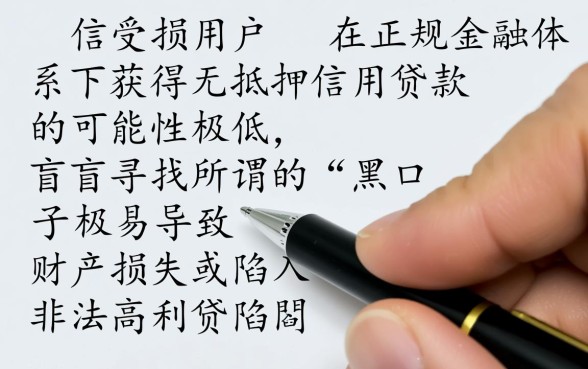 2026最新黑户贷款口子哪里找