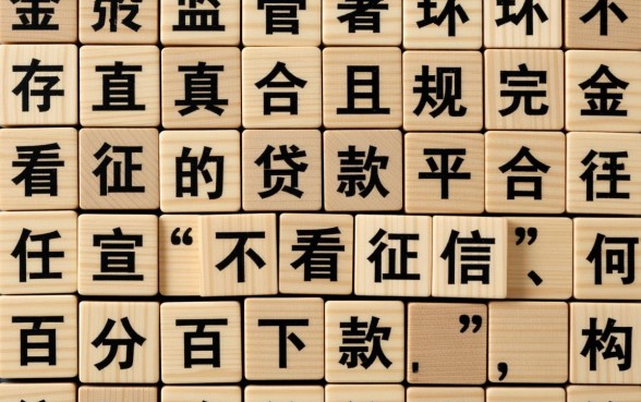 2026年不看征信贷款怎么申请