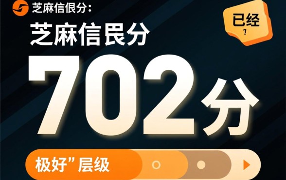 702分可以借哪些平台