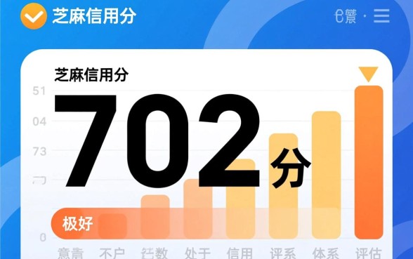 702分可以借哪些平台