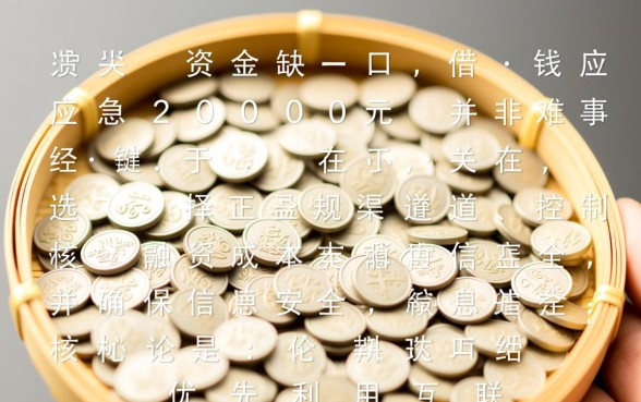 急需2000元哪里借？借钱应急2000哪里可以秒下款？