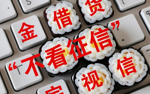 借款不看征信平台有哪些，不看征信借款平台安全吗？
