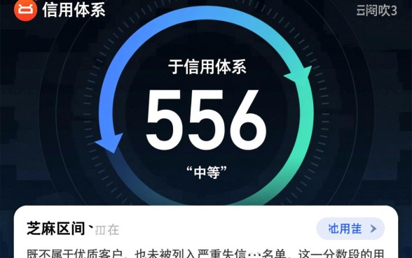 芝麻分556能下款吗