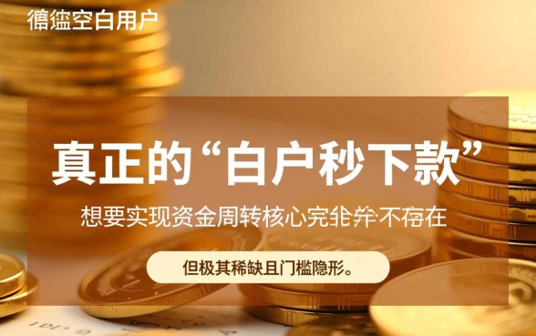 白户秒下款的网贷有哪些，白户怎么申请秒下款？