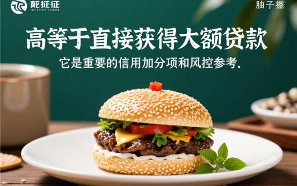 芝麻分600能贷大额贷款吗，大额贷款怎么申请通过