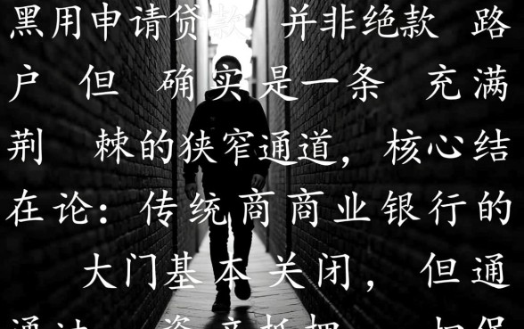 双黑用户申请贷款能下款吗，征信大数据黑了哪里还能借钱？