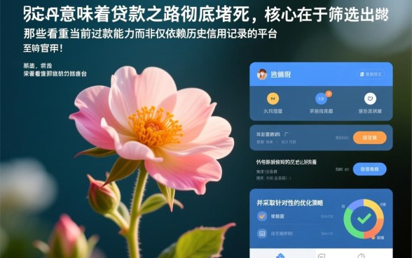 征信花还能下的口子有哪些，哪里能借到钱？