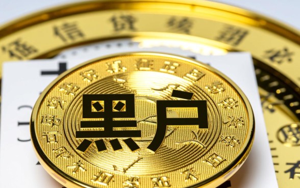 征信黑户能下的口子有哪些，2026最新不看征信的口子