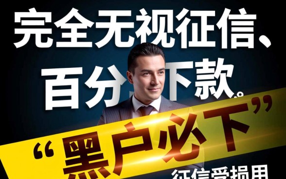 网贷黑户口子有哪些,2026最新黑户必下款口子怎么申请 2026最新黑户必下款口子怎么申请