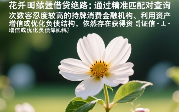 征信花能下款的口子有哪些，2026哪里能借到钱