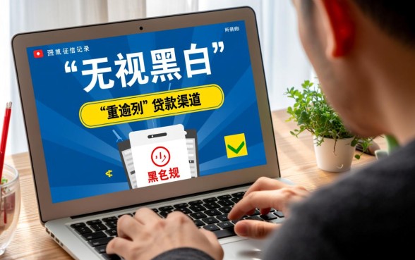 无视黑白的口子有吗，2026必下款不用审核的口子在哪里
