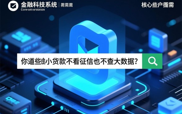 小额贷款不看征信不查大数据是真的吗，有哪些平台？