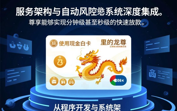 使用现金白卡龙尊享能快速获得贷款吗，审核多久好下款吗