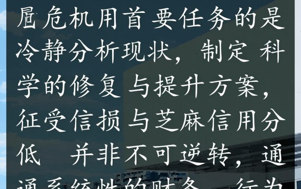 芝麻信用590算什么水平