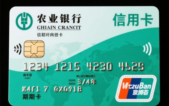 农业银行信用卡有效期怎么输入，农行信用卡有效期格式怎么填