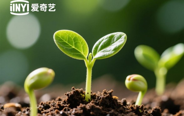 像爱奇艺小芽贷一样的贷款平台有哪些？类似小芽贷的借款软件推荐