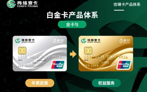 民生信用卡白金卡和金卡的区别是什么，申请哪个更划算？