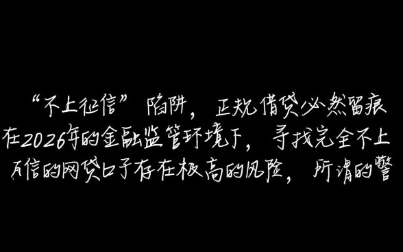 2026不上征信的网贷有哪些口子