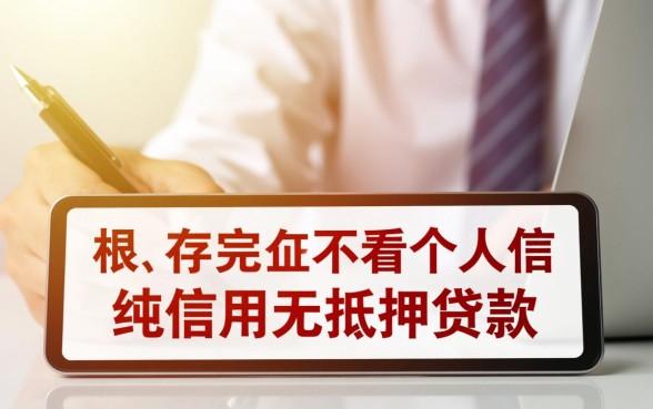 有没有不看个人征信的万无抵押贷款方案，怎么申请才靠谱