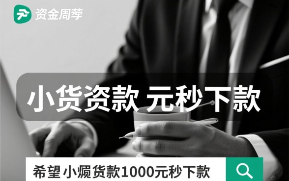 小额贷款1000元秒下款有哪些?无视黑白平台怎么申请 小额贷款1000元秒下款有哪些