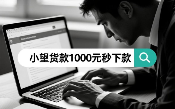 小额贷款1000元秒下款有哪些?无视黑白平台怎么申请 小额贷款1000元秒下款有哪些