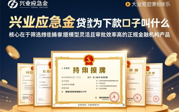 类似兴业应急金的贷款好下款的口子叫什么