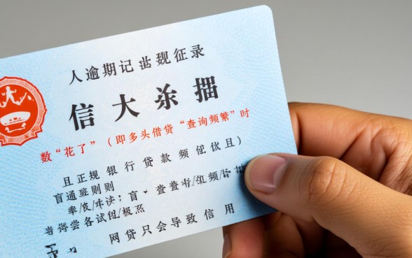 大数据花了有逾期哪里可以贷款？大数据花了逾期了哪里能借到钱？