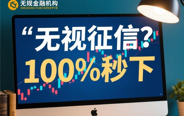 无视征信黑白100%秒下网贷是真的吗，雪中金融能下款吗？