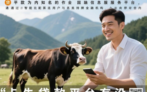 卡牛贷款平台有没有不查征信的产品？不查征信能下款吗？