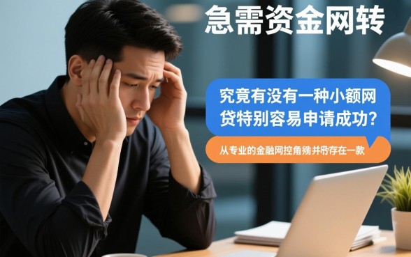 有没有一种小额网贷特别容易申请成功，哪个平台容易下款？